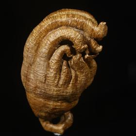 BC.DF11.4-5 马拉OK（佛手）把件 规格，27.22g