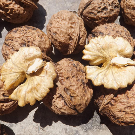 『云南野生甜味核桃』深山原生态干核桃，果仁醇香，不涩口、更油润，嚼起来有韧劲 商品图3