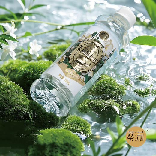 萃莉茉莉花水广西横县茉莉鲜花水0糖0添加 商品图5