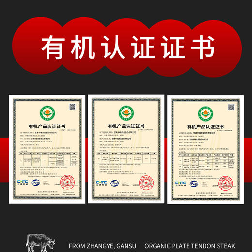 金陇雪原切牛排 谷饲 国产牛肉生鲜食材 菲力牛排150g 商品图4