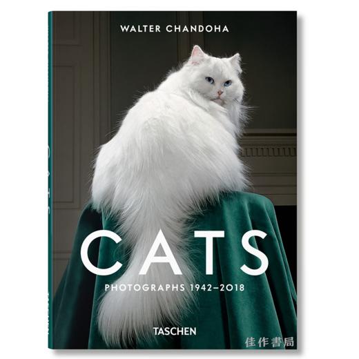 Walter Chandoha. Cats. Photographs 1942–2018 / 沃尔特·尚多哈. 猫 摄影集 1942–2018 /Taschen Pocket Books系列 商品图0