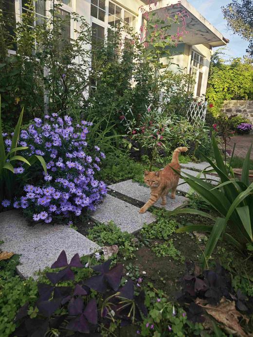 储值卡会员介绍 商品图5