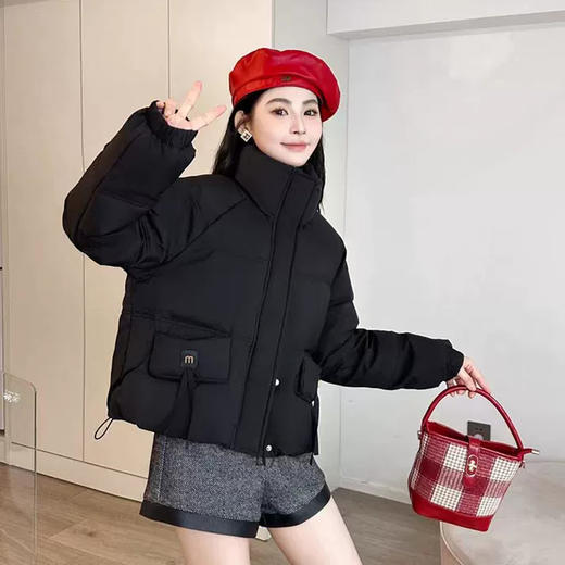 半身缘女装 冬季流苏袋盖小立领下摆可调节抽绳羽绒服254113P01740163 商品图1