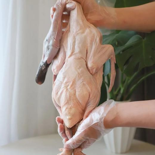 双黑土鸭 | 源自连城白鸭，生态散养，足龄慢养 商品图3