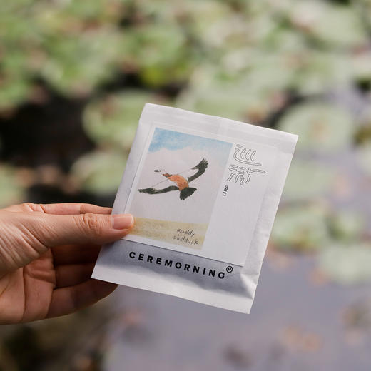 Ceremorning巡游套组 咖啡手冲豆 胡沁迪联名 小鸟散步 zine （下单后7～14天发货） 商品图4