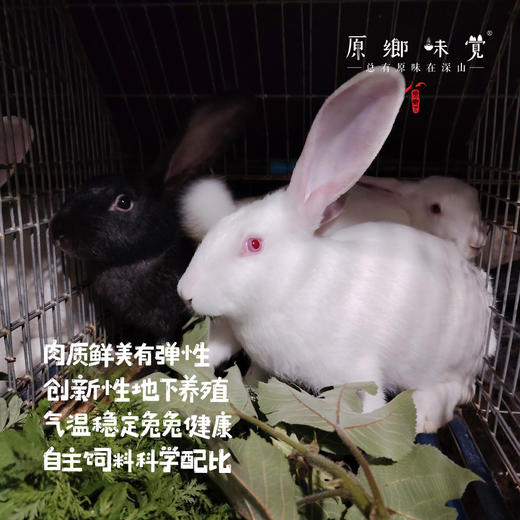 【预售约12月22日发】生态麻辣兔丁/兔头（成都仓库-顺丰快递）|250g/袋，来自四川荣县，生产者：范华侨【合作生产，公平贸易】 商品图3