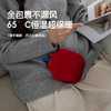 【礼物季】复古单色多巴胺多色灌水热水袋350ml热水袋-纪念日百货门店同款166695640 商品缩略图2