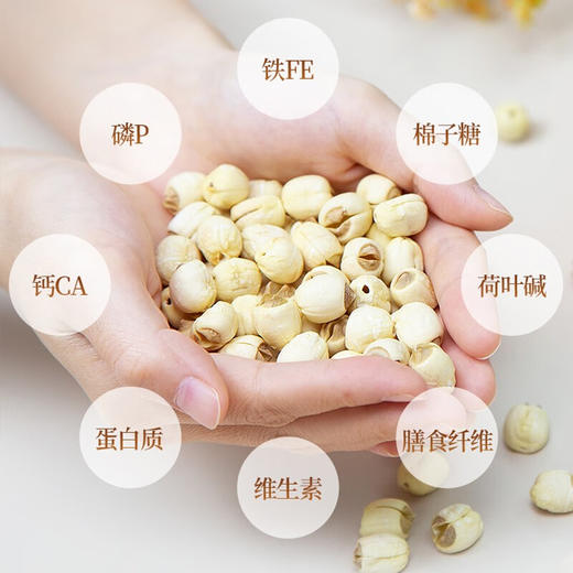 建莲 绿色建宁通心白莲 300g 商品图2