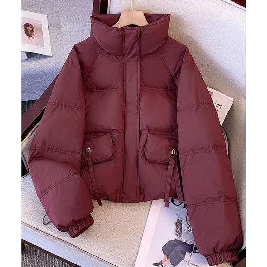 半身缘女装 冬季流苏袋盖小立领下摆可调节抽绳羽绒服254113P01740163 商品图3