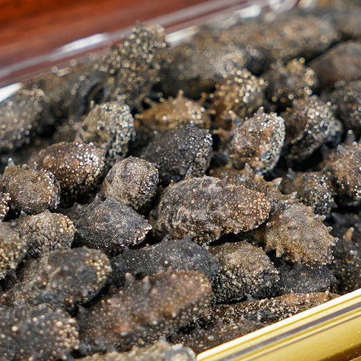 【北京卫视专享】辽宁大连国标二级密刺海参250g（30~40头)  500g（60~85头)礼盒装  即食海参500g/袋（8-10头） 500g/袋（12-16头） 商品图5