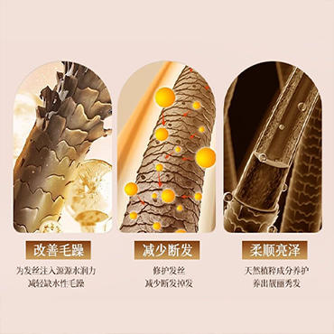 山茶籽生活礼包(500m山茶籽洗发乳+500ml山茶籽洗发乳+500ml山茶籽沐浴露)【GY】 商品图2