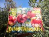 2025年新疆阿克苏冰糖心苹果 商品缩略图8