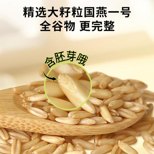 好麦多 有机胚芽燕麦片 900g 商品图2