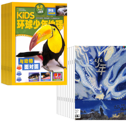 【组合订阅】《少年新知》+《环球少年地理》（2025年11月-2026年10月）年刊 赠盲盒 商品图0
