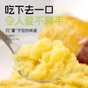 严选 | 云南高原 榴莲蜜薯 商品缩略图2