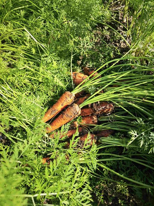 储值卡会员介绍 商品图3