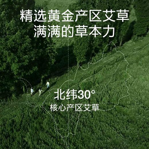 拍3送1【源方易堂石墨烯艾灸贴】 艾草制品 艾护全身 随时随地做艾灸 商品图3