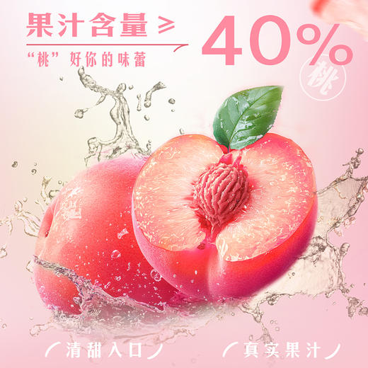 「新品小桃啤」13°P珠江雪堡精酿桃沁酿水蜜桃味啤酒330ml*12罐微醺必备 商品图4