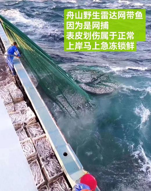 舟山野生雷达网带鱼25.8元1箱约2斤7-9条装，预售周五到 商品图1
