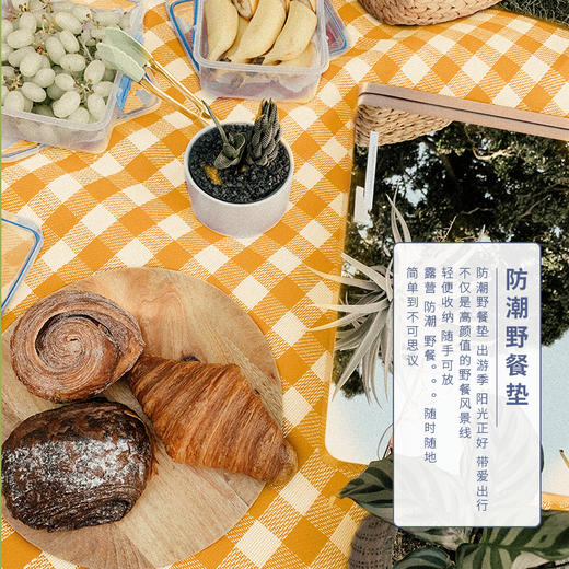 趣游帮 牛津布野餐垫(Y13) 商品图2