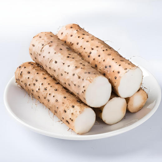 温县有机铁棍鲜山药  5斤 商品图1