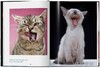 Walter Chandoha. Cats. Photographs 1942–2018 / 沃尔特·尚多哈. 猫 摄影集 1942–2018 /Taschen Pocket Books系列 商品缩略图2