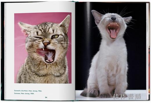 Walter Chandoha. Cats. Photographs 1942–2018 / 沃尔特·尚多哈. 猫 摄影集 1942–2018 /Taschen Pocket Books系列 商品图2