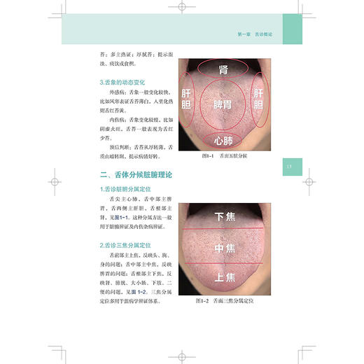 舌诊人门与临证 矫增金 杨莺 张立 适合中医临床医生和普通读者 所有案例来自作者门诊患者 贴近临床指导辨证 辽宁科学技术出版社 商品图4