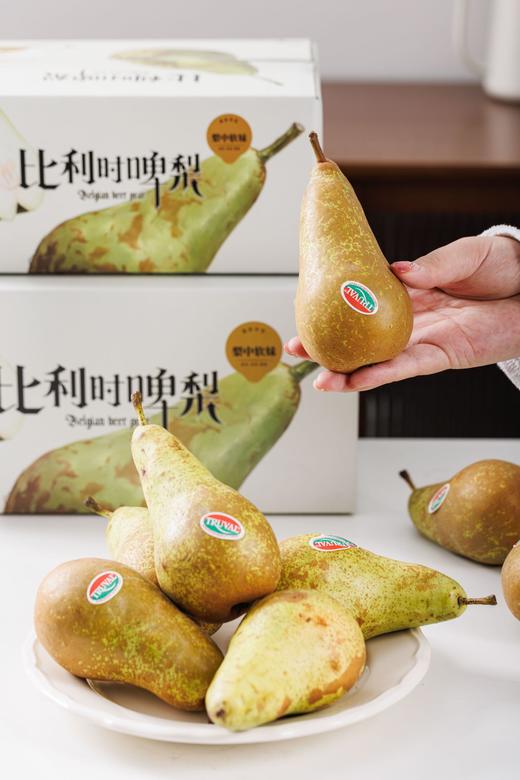 比利时啤梨丨啤梨需要放软食用，口感软甜爆汁，水分充足，放软以后可以在冰箱冷藏一下感觉吃冰淇淋一样，喜欢吃梨的朋友不要错过！⭐️顺丰快递 商品图3