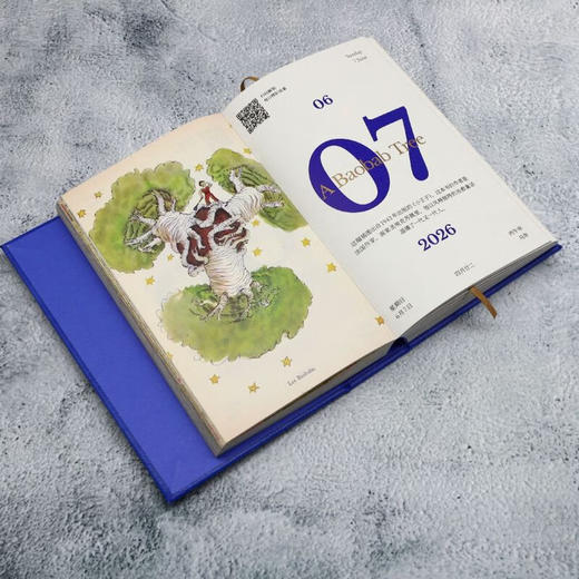 湛庐日历2026湛庐珍藏日历大英图书馆日历湛庐2026日历 日历摆件小日历 图书馆联名款日历 创意礼品日历 收藏鉴赏 商品图4