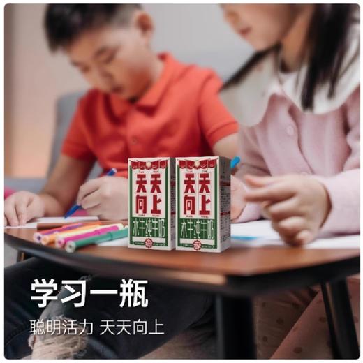 广西农垦西江乳业天天向上 水牛奶纯牛奶儿童学生营养早餐奶125ml/盒 商品图3