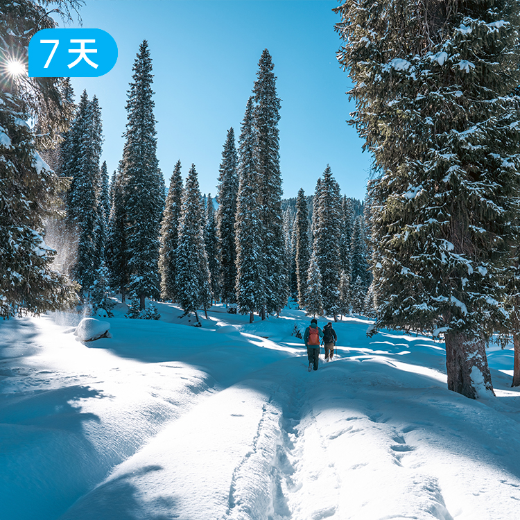 新疆冰雪季|天山冬伊犁 雪山秘境徒步 牧民家访 小众探索之旅 7日