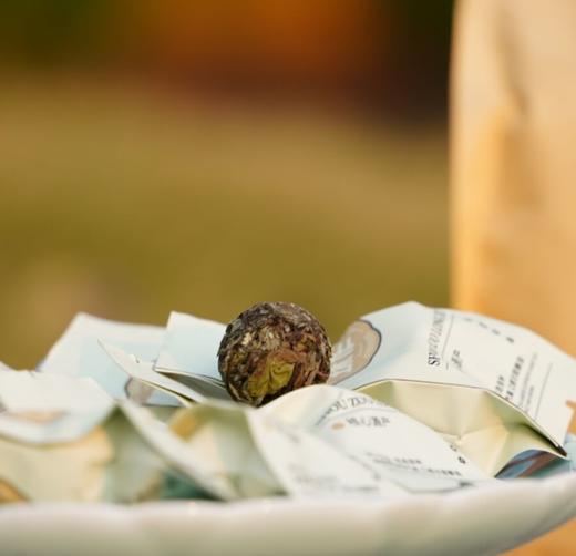 高山白茶 2024年 荒野寿眉 龙珠 5g/颗 80颗/盒 商品图1