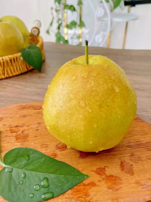 隰县玉露香梨10斤装 秋季润燥佳品 香甜多汁 商品图2