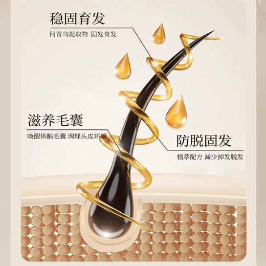 【店选】养发保健液洗发水500ml/瓶 护发原液30ml/瓶 商品图2