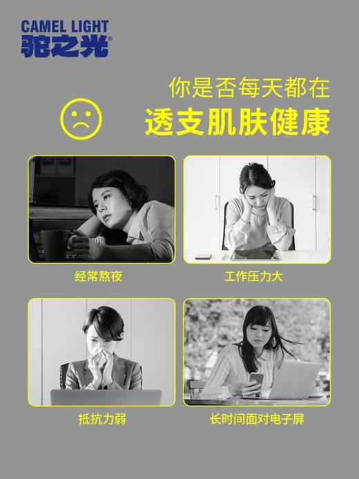 驼之光智慧营养配方驼乳粉 商品图4