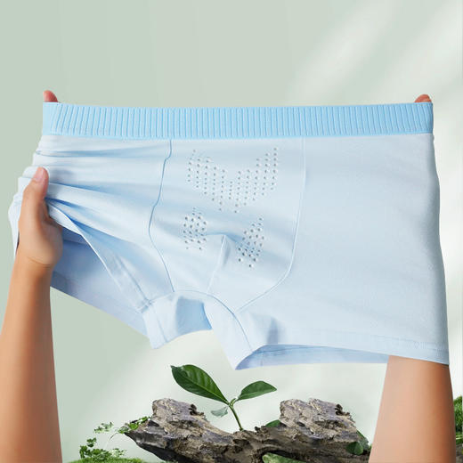 【四条装】 草本初色男士内裤 优质精梳棉虫草裤 速干透气 NQ5519 商品图7