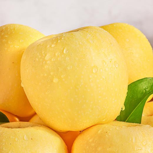 黄金维纳斯苹果【5斤39元】丨色泽金黄 果肉脆感十足 商品图1