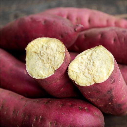 北田干面红薯【5斤29元】丨长地里的“糖炒栗子” 果肉饱满 商品图2