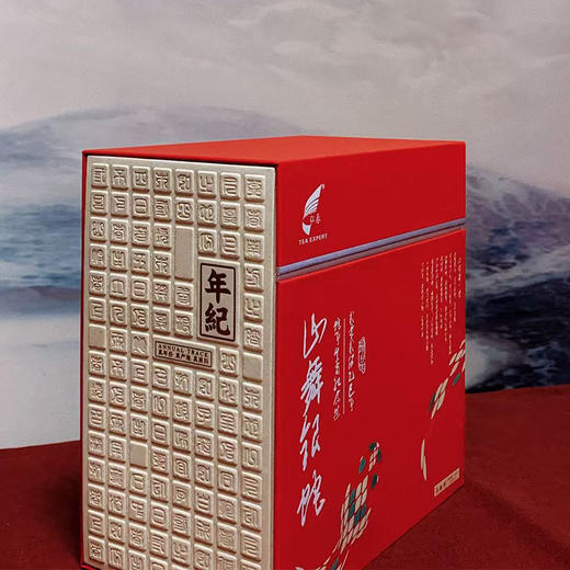 弘春 蛇年生肖饼 白牡丹饼茶 300克 商品图4