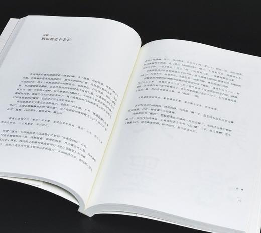 【周五左右发货】《管领风骚三百年：近三百年学人翰墨》，16开，平装，四册，许宏泉著，中华书局2013年一版一印，四册定价：239元，售价：86元。 商品图11