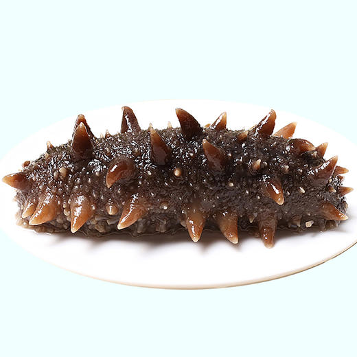 【北京卫视专享】辽宁大连国标二级密刺海参250g（30~40头)  500g（60~85头)礼盒装  即食海参500g/袋（8-10头） 500g/袋（12-16头） 商品图2