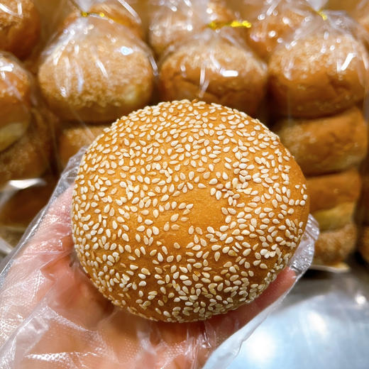 汉堡胚 商品图1