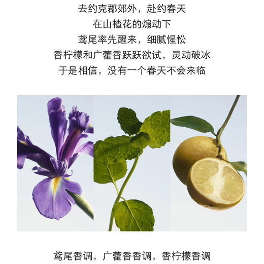 英国 BURBERRY巴宝莉/博柏利 高定山楂花香水 100ml 商品图5