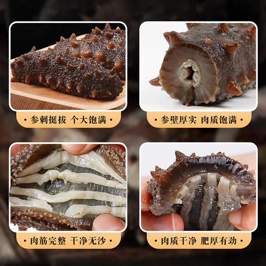 【72小时发货】央企出品中国农垦海参 商品图3