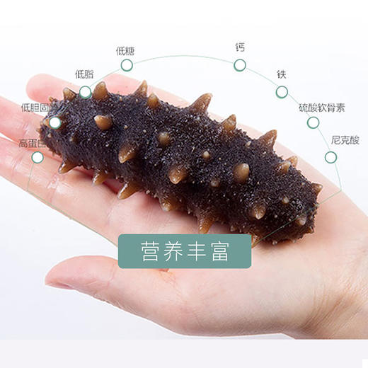 【北京卫视专享】辽宁大连国标二级密刺海参250g（30~40头)  500g（60~85头)礼盒装  即食海参500g/袋（8-10头） 500g/袋（12-16头） 商品图8