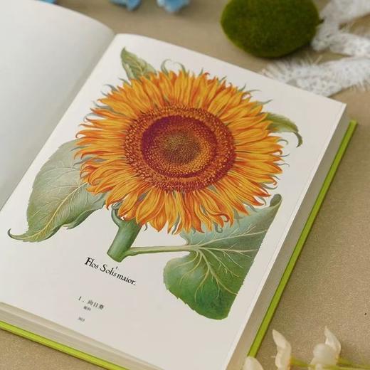 植物圣经 商品图4