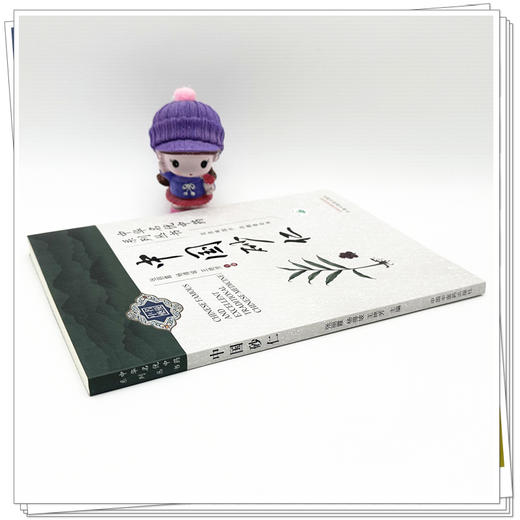 中国砂仁 张丽霞 杨得坡 王艳芳 主编 中华名优中药系列丛书 中国中医药出版社 商品图2