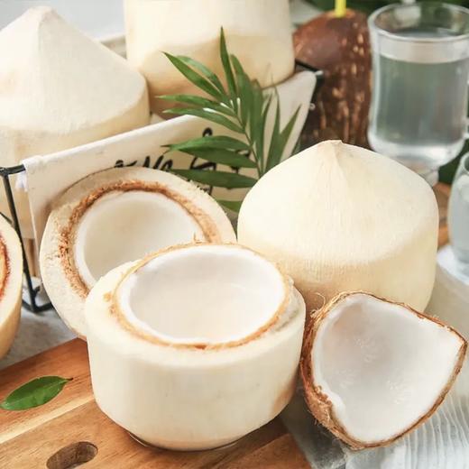 泰国进口椰青 商品图1