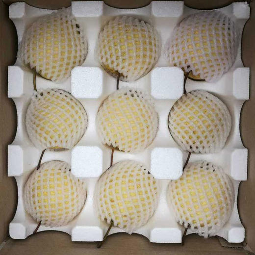 现摘现发！河北正宗雪花梨，脆爽多汁超解腻 商品图1